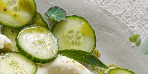 Burrata with cucumber and cumin herb oil.