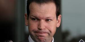 Matthew Canavan declared to the High Court that he had in fact been an Italian citizen since he was two.