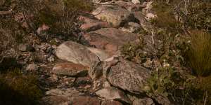 A hike in the Grampians.