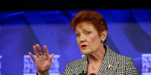 One Nation leader Pauline Hanson addressing the National Press Club. 