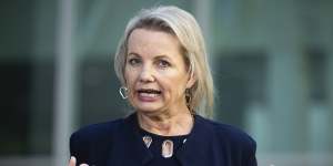 Deputy opposition leader Sussan Ley has been a target of internal Liberal Party divisions.