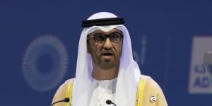 ‘Realistic’:UAE appoints oil chief to be COP28 president