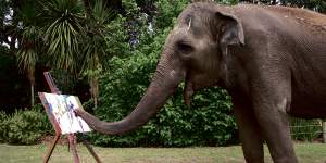 WA government finally decides how Tricia the elephant will be laid to rest