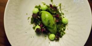 Evergreen with sorrel,lemon basil,mint,shiso and parsley served at LuMi Dining in Pyrmont.