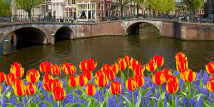 A booklet entitled Tulips From Amsterdam had maps of two nature walks around this beguiling city.