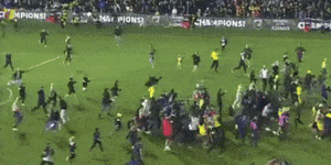 Mariners fans invade the pitch after their grand final victory.