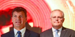 Angus Taylor and Scott Morrison are taking a bet on hydrogen in the government's imminent energy technology roadmap.