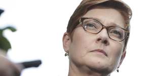 Foreign Affairs Minister Marise Payne said the release of an Australian couple after months in jail"is a source of great relief and joy for everyone". 