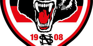 The new logo of the Bears,who are attempting to become the NRL’s 18th team.