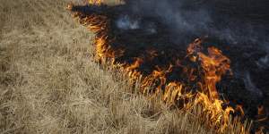 Grain fields burn,on the outskirts of Kurakhove,Donetsk Oblast,eastern Ukraine,on Thursday,July 21.