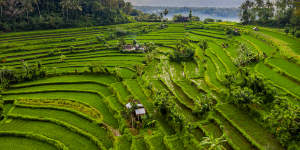 Canggu Bali