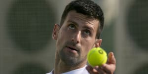 ‘Big desire’:Djokovic hopes to play in US despite being unvaccinated