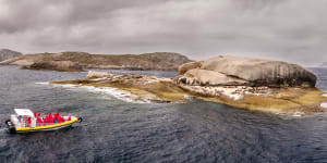 Exciting marine wildlife tours to do in Wilsons Promontory,Victoria