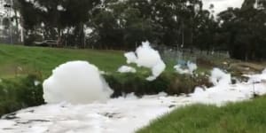 'It’s never been this bad':White foam covers part of Dandenong Creek