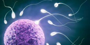 It has been common for children conceived using donor sperm to not be told of their origins. 