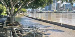 Silt left behind from receding floodwater at South Bank.