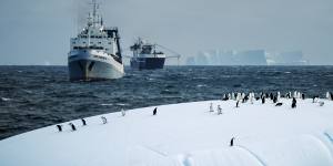 Chinstrap penguins on the ice in Antarctica with supertrawlers in the background.