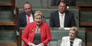 Liberal MP Ann Sudmalis attacks colleagues during a speech to Parliament on Monday night. 