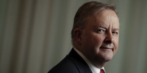 Anthony Albanese has backed the case for Australian coal exports.