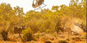 Two pilots die in WA cattle station helicopter tragedy