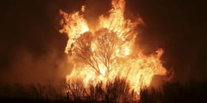 The Black Summer bushfires ran for 240 consecutive days,killing 25 people and an estimated 800 million animals.