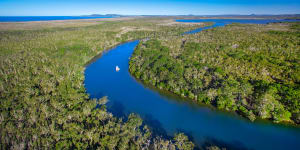 Aerial view of Noosa Everglades.