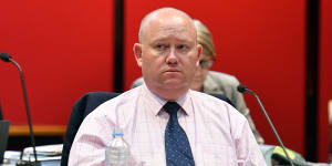 Shane Fitzsimmons gives evidence at NSW Parliament on Wednesday.