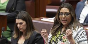 Greens senator Mehreen Faruqi in parliament.