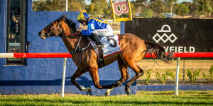 Iknowastar takes out the Dubbo Cup in track record time last year.