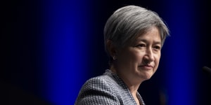 Wong’s Palestine remarks had all the substance of a cloud