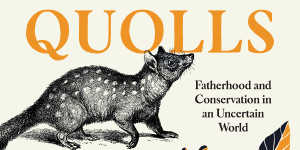Questions Raised by Quolls by Harry Saddler.
