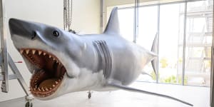 Bruce,the mechanical shark used in Jaws,on display.
