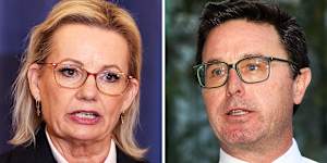 Liberal leader Sussan Ley and Nationals leader David Littleproud. Composite index image for online. Photos:Alex Ellinghausen