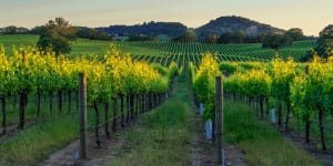 Six of the best:Classic California winery road trips
