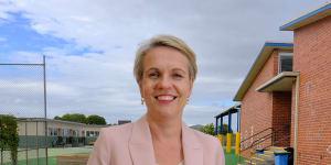 Deputy Labor leader and education spokeswoman Tanya Plibersek.