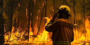 A firefighter attempts to protect a property on Tallow Wood Road from the Currowan fire.