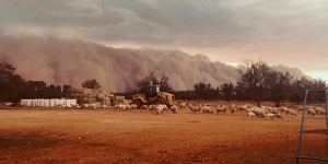 Huge'wall of dust'sweeps across western NSW