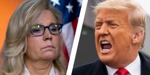 Republican Liz Cheney backs Trump impeachment as Pence rules out using the 25th