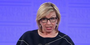 Rosie Batty endorses plan for alcohol levy to fund family violence programs