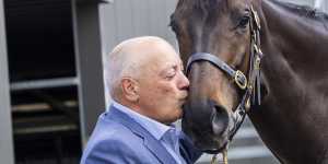 Jenni paused her cancer treatment to get married,now a racehorse carries her name