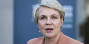 Environment Minister Tanya Plibersek has given the Walker Group 10 days to respond to her proposed rejection of the Toondah Harbour marina over internationally protected wetlands at Cleveland.