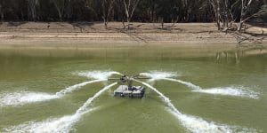 Fishing bans for parts of distressed Murray-Darling river system