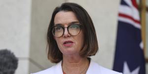 Opposition health spokeswoman and former social services minister,Anne Ruston,has signalled the Coalition would’ve kept the subsidies were it still in power.