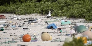 The uninhabited island where the world's plastic ends up