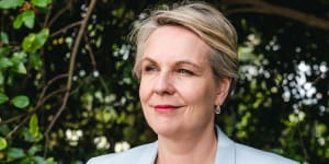 We’ll learn more about Tanya Plibersek in Margaret Simons’ biography of the Labor figure.