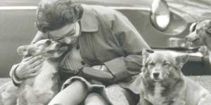 The Queen with her corgis in 1973,at the Windsor Horse Show:“Around her dogs she can be completely herself.”