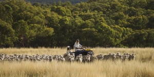 Unlimited carbon offsets could harm agriculture,farmers warn