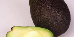 ‘No certainty’:Avocado grower Costa cautious on US firm’s $1.6b takeover bid