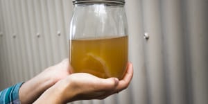 Can kombucha really pull off miracles for your health?