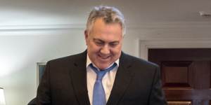 Joe Hockey,the former treasurer,thought his career was over when PM Tony Abbott was rolled. Instead,it took a fresh turn in the US.